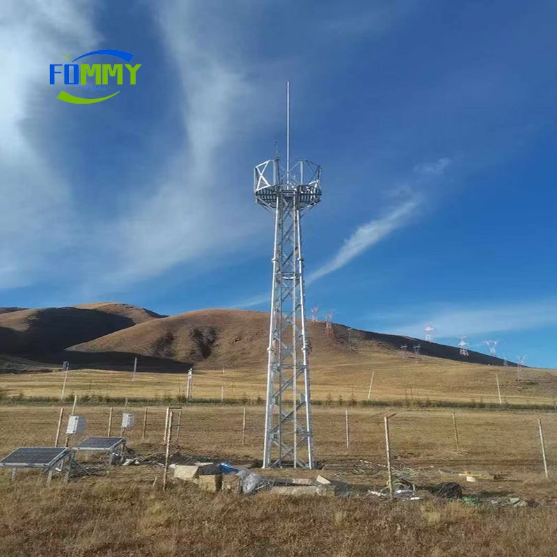 Watch Tower Forest Service