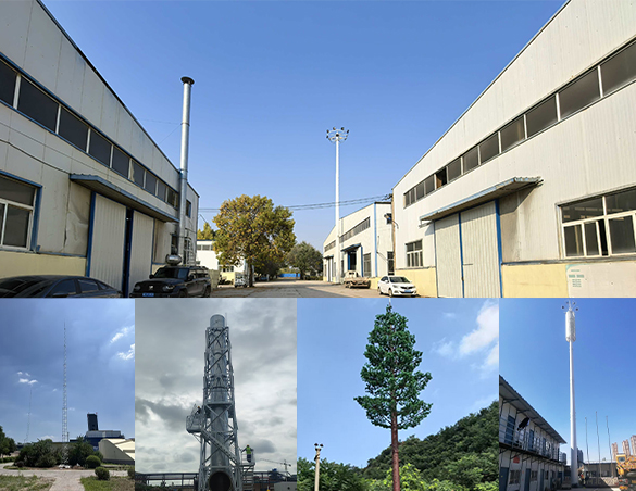 Hengshui Fommy Import and Export Co., Ltd.